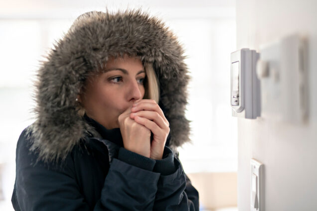 Troubleshooting Guide: What to Check if Heat is Not Working