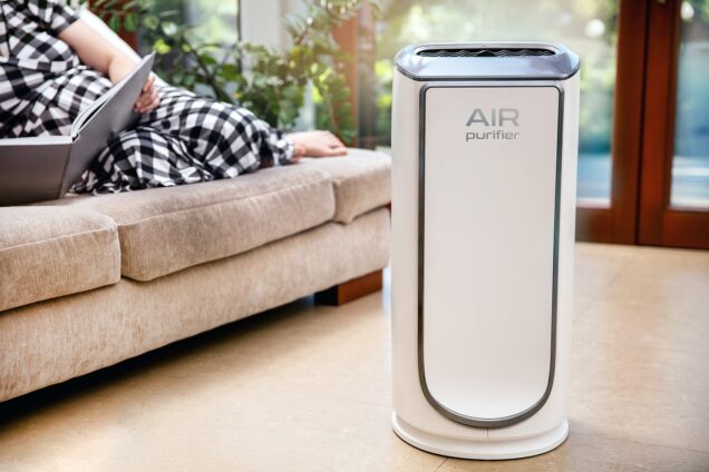 Navigating the World of Air Purifiers