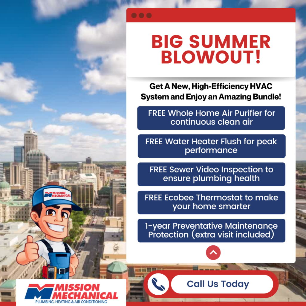 Summer deal