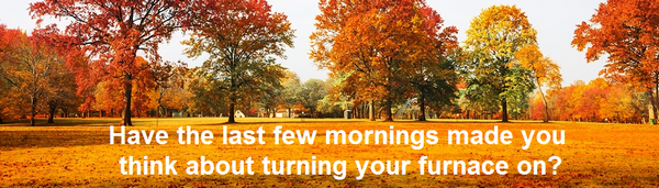 Have the last few mornings made you think about turning your furnace on?